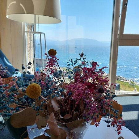 菲尼斯特雷 特马迪克多班科阿祖尔旅馆酒店 外观 照片